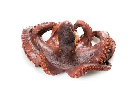 Boiled octopus Stock Photos