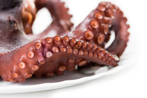 Boiled octopus Foto stock