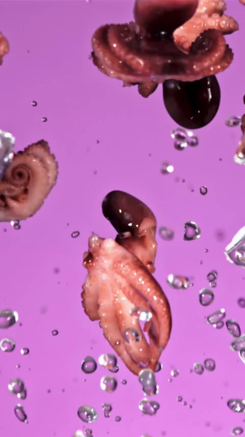 Boiled octopuses rise up and fall down. Filmed is slow motion 1000 fps Stock-Footage 335292870