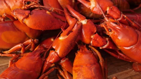 Boiled or steamed crawfish Stock Footage 342282476