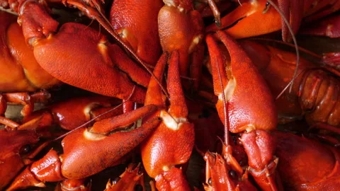 Boiled or steamed crawfish Stock Footage 342282479
