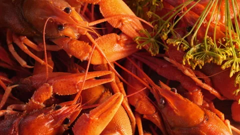 Boiled or steamed crawfish Stock Footage 342657407