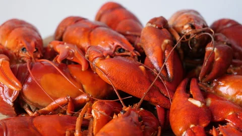 Boiled or steamed crawfish Stock Footage 342657453