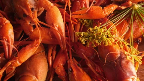 Boiled or steamed crawfish Stock Footage 342657500