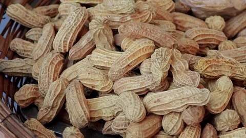 Boiled peanut in bamboo tray. Stock Footage 305772212