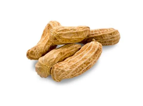 Boiled Peanut, a boiled nut isolate with white background. - Image Stock Photos
