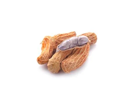 Boiled Peanut, a boiled nut isolate with white background. Stock Photos