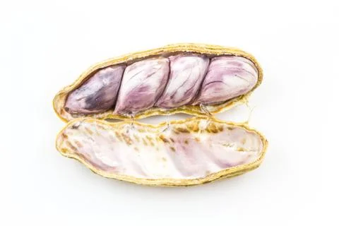 Boiled peanut Stock Photos