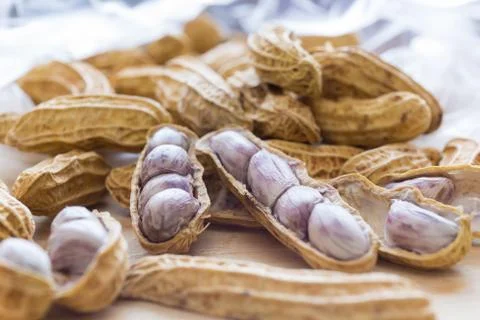 Boiled Peanut Stock Photos