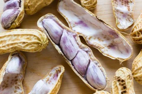 Boiled Peanut Stock Photos