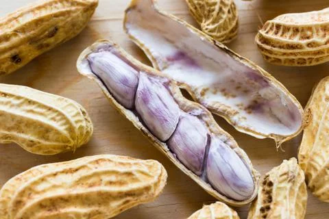Boiled Peanut Stock Photos
