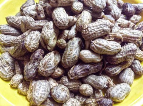 Boiled peanut Stock Photos