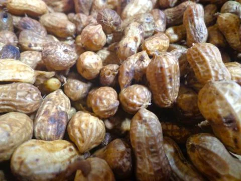 Boiled Peanut is ready to serve Stock Photos