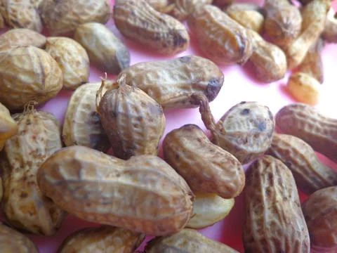 Boiled Peanut is ready to serve Stock Photos