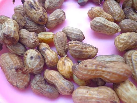 Boiled Peanut is ready to serve Stock-Fotos