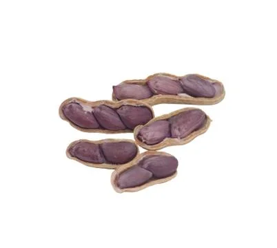 Boiled peanut in a shell Stock Photos