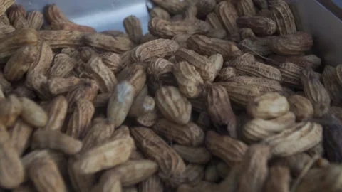 Boiled Peanuts Closeup Stock Footage 235638001