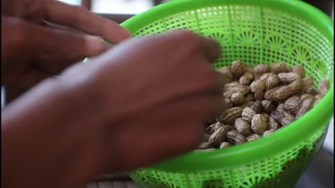 Boiled peanuts Stock Footage 241044163