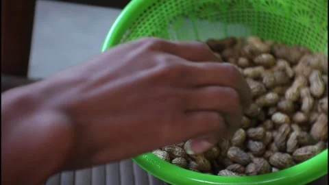 Boiled peanuts Stock Footage 241044285