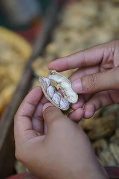 Boiled peanuts that have been opened in half are ready to eat Stock Photos