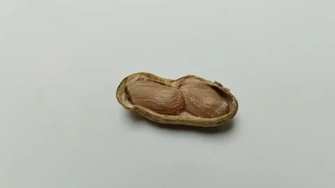 Boiled peanuts that have been peeled from the skin on a white background Stock Footage 293124292