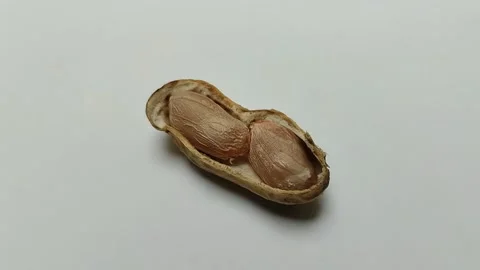 Boiled peanuts that have been peeled from the skin on a white background 動画素材 293124337
