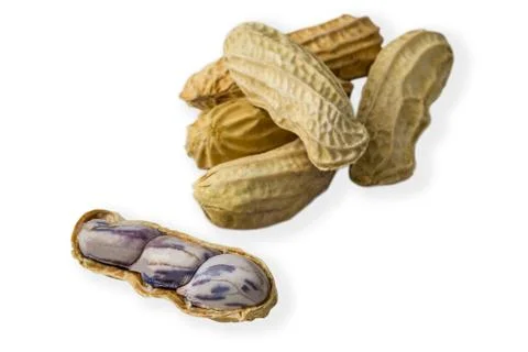Boiled Peanuts Isolated on White Stock Photos