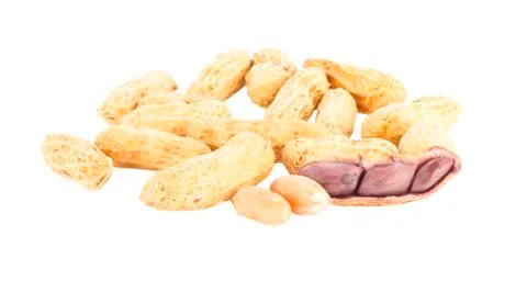 Boiled peanuts, Monkey nuts, Groundnuts in shell, Isolated on white backgroun Stock Photos