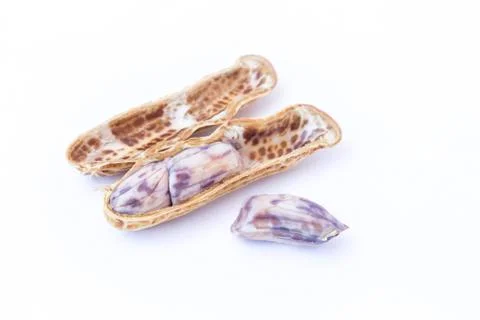 Boiled peanuts or groundnuts on white background Stock Photos