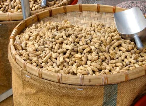 Boiled peanuts Stock Photos