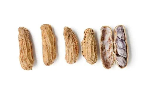 Boiled peanuts Stock Photos