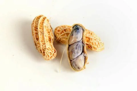 Boiled peanuts Stock Photos