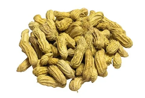 Boiled peanuts. Stock Photos