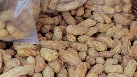 Boiled peanuts in the serve. Stock Footage 305772207