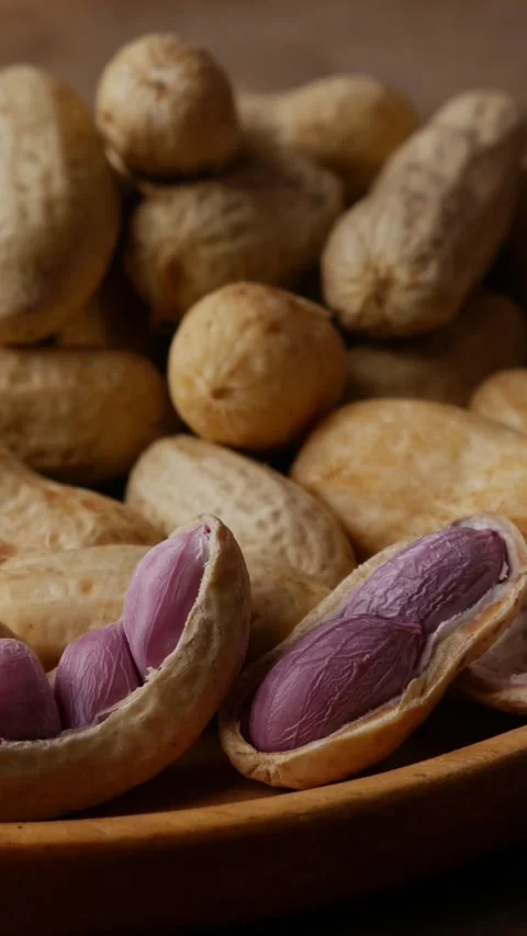 Boiled peanuts in shell with purple violet skin kernels revealed Stockbeeldmateriaal 331494084