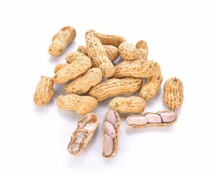 Boiled Peanuts on white background Stock Photos