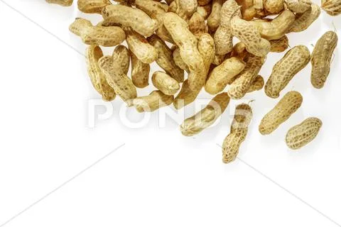 Boiled peanuts on white background with space. Stock Photos