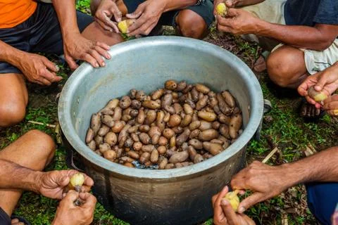 Boiled Potatoes Stock Photos
