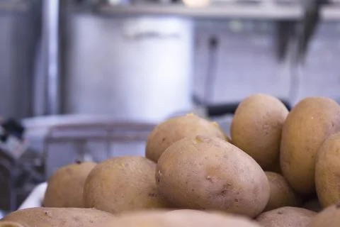 Boiled potatoes on restaurant kitchen table Stock Photos