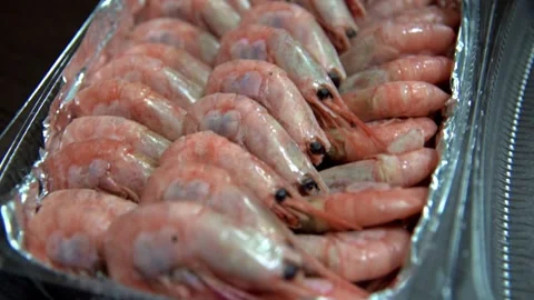 Boiled prawns on foil in plastic box on table in restaurant kitchen. HD Stock Footage 141446652