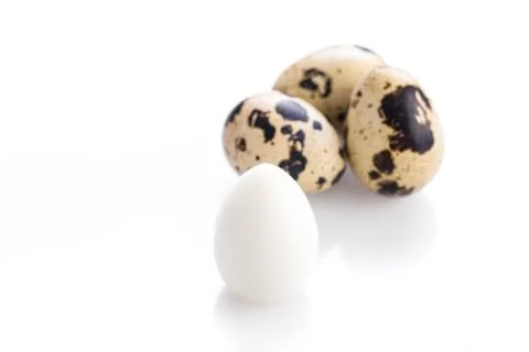 Boiled quail egg Stock Photos