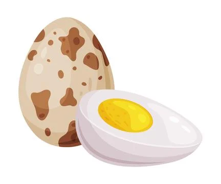 Boiled Quail Eggs in Shell and Half with Yolk Vector Illustration Stockillustratie