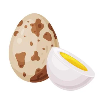 Boiled Quail Eggs in Shell and Half with Yolk Vector Illustration Illustrazione stock