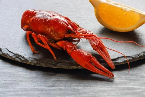 Boiled red crab with a slice of lemon Stock Photos