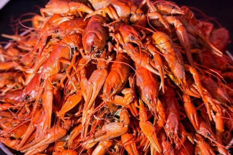 Boiled red crawfish Stock Photos