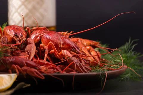 Boiled red crawfish, ready to eat with lemon slices and ice cubes on a black Stock Photos