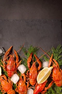 Boiled red crawfish, ready to eat with lemon slices and ice cubes on a black Stock Photos