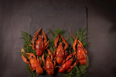 Boiled red crawfish, ready to eat with lemon slices and ice cubes on a black Stock Photos