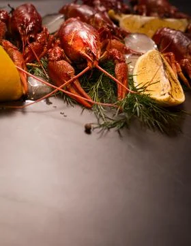 Boiled red crawfish, ready to eat with lemon slices and ice cubes on a black Stock Photos