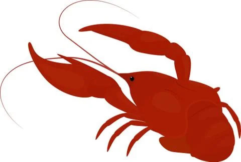 Boiled red crayfish, crawfish Stock Illustration